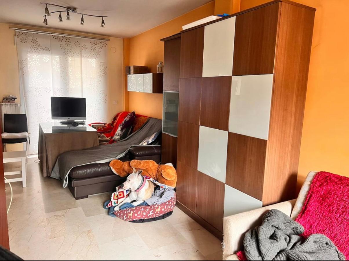Apartmán Casa Ideal Familias Y Grupos Con Balcones Exterior Soleada Patios Cerca Alhambra, Sierra Nevada, Rio Genil, Lancha Del Genil, Parque Llano Y Reloj Del Sol Con Barbacoas, Campo De Futbol, Circuito Gimnasia Granada Exteriér fotografie